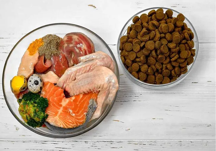 Barf Diet For Dogs
