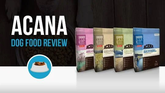 Acana Dog Food Review 2022: Best Formulas, History Recall, and More