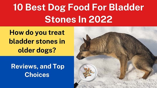 10 Best Dog Food For Bladder Stones In 2022