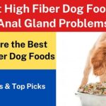 6 Best High Fiber Dog Foods For Anal Gland Problems
