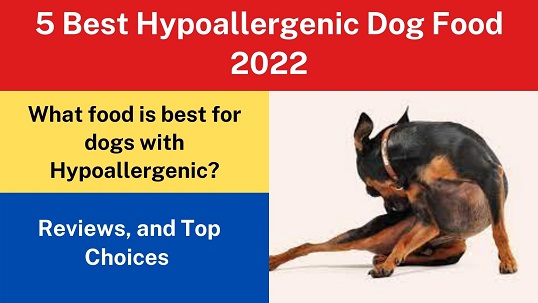 5 Best Hypoallergenic Dog Food 2022