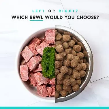 Best Low Carb Dog Foods