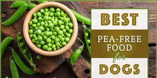 Best dog food without legumes, peas, or lentils