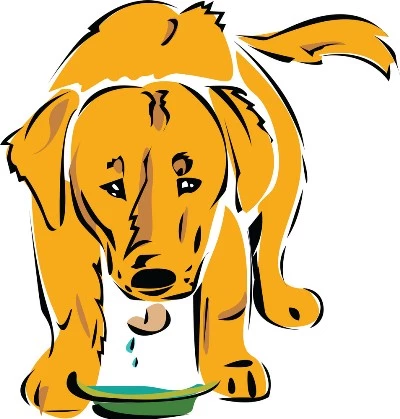 Can dog eat cottage cheese? Is  cottage cheese Good for dogs