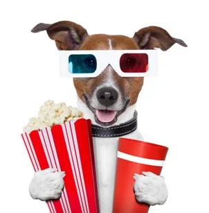 Can dogs eat popcorn