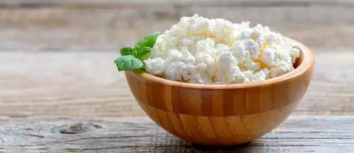 Can dog eat cottage cheese? Is  cottage cheese Good for dogs