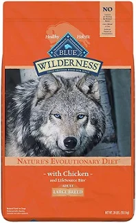 Best Dog Food For Dobermans