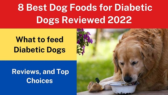8 Best Dog Foods for Diabetic Dogs Reviewed 2022