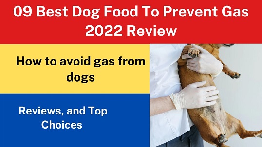 09 Best Dog Food To Prevent Gas 2022 Review