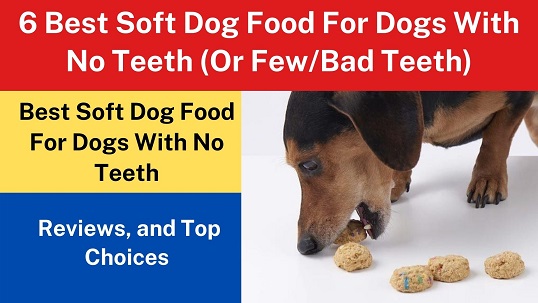 6 Best Soft Dog Food For Dogs With No Teeth (Or Few/Bad Teeth)