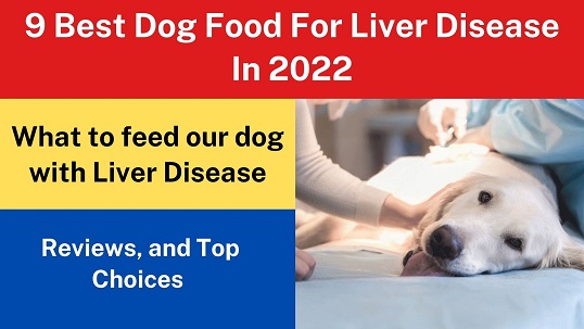 9 Best Dog Food For Liver Disease In 2022