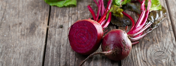 Can Dogs Eat Beets? Are Beets Safe for Dogs?