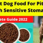 6 Best Dog Food For Pitbulls With Sensitive Stomachs