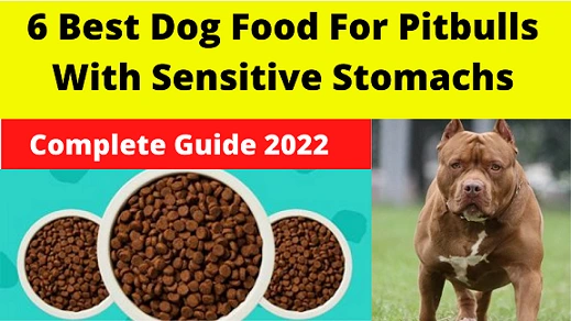 6 Best Dog Food For Pitbulls With Sensitive Stomachs