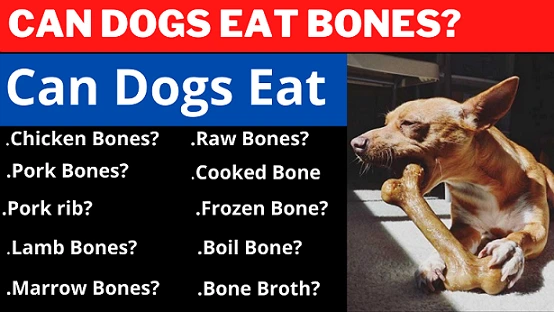 Can Dogs Eat Bones? Raw, Cooked, Frozen Which One Is Safe For Your Dog.