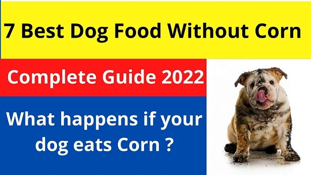 7 Best Dog Food Without Corn for Your Furry Friend