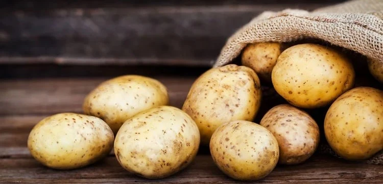 8 Best Potato-Free Dog Foods In 2022