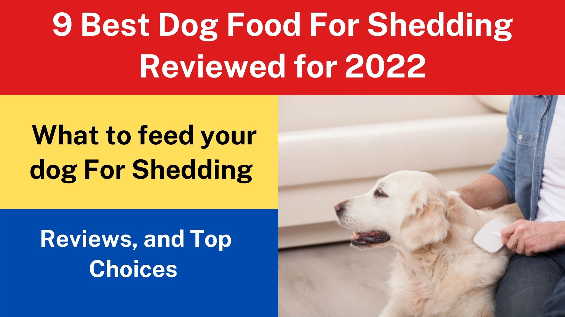 9 Best Dog Food For Shedding Reviewed for 2022