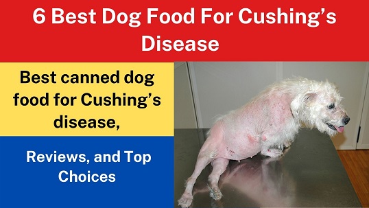 6 Best Dog Food For Cushing’s Disease [ 2022 Reviews ]