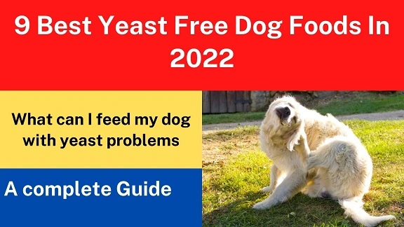 9 Best Yeast Free Dog Foods In 2022