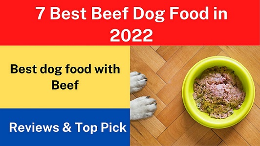 7 Best Beef Dog Food in 2022 – Reviews & Top Picks