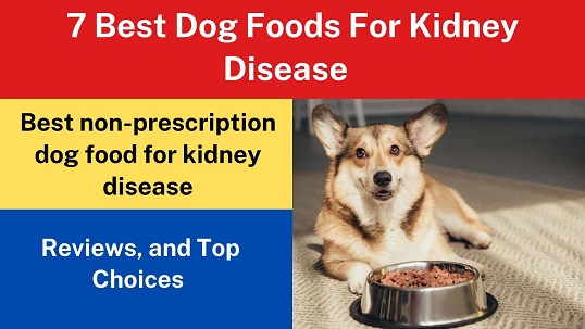7 Best Dog Foods For Kidney Disease [2022 Reviews]
