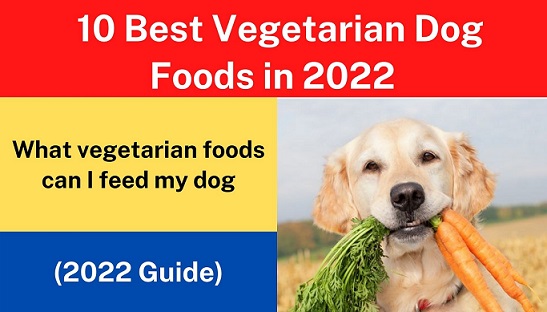 10 Best Vegetarian Dog Foods in 2022 - Reviews & Top Picks