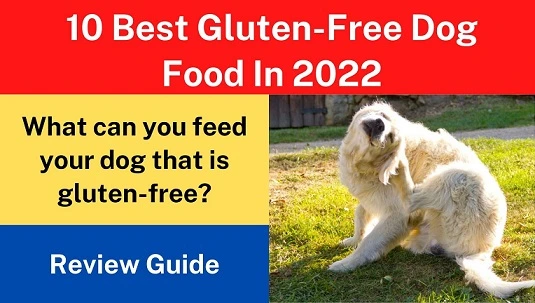 10 Best Gluten-Free Dog Food In 2022