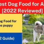 15 Best Dog Food for Akitas [2022 Reviewed]