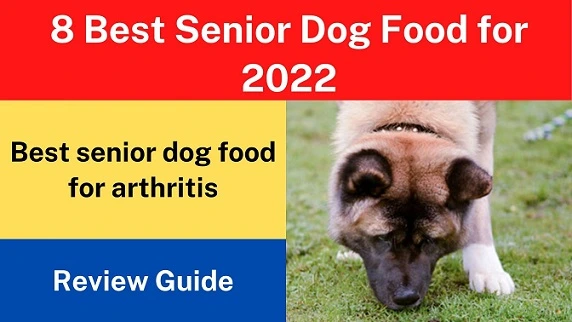 8 Best Senior Dog Food for 2022