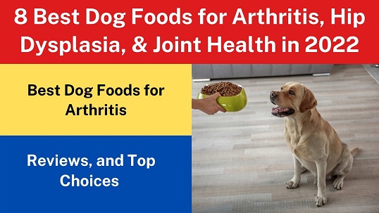 8 Best Dog Foods for Arthritis, Hip Dysplasia, & Joint Health in 2022