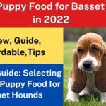 8 Best Puppy Food for Basset Hounds in 2022 – Reviews & Top Picks