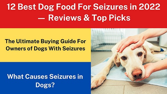 12 Best Dog Food For Seizures in 2022 — Reviews & Top Picks