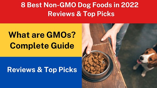 8 Best Non-GMO Dog Foods in 2022 – Reviews & Top Picks