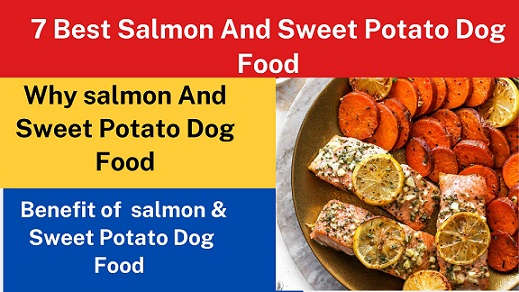 Best Salmon And Sweet Potato Dog Food