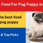 9 Best Food For Pug Puppy in 2022 – Reviews & Top Picks
