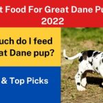 9 Best Food For Great Dane Puppy in 2022 – Reviews & Top Picks