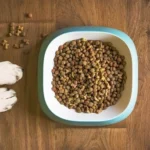 8 Best dry dog food for large Breeds in 2023